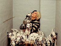 � ����� ������ ��� ������� ���������� �������������� ������ � �����������