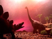 ������ �7 ��������� ��������� ����� ����� ��������